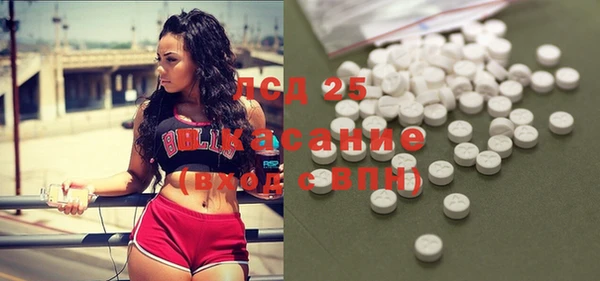 ПСИЛОЦИБИНОВЫЕ ГРИБЫ Строитель