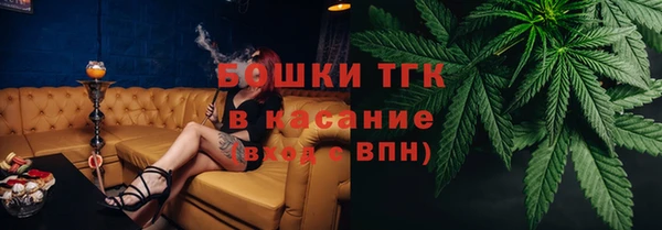 хмурый Бородино