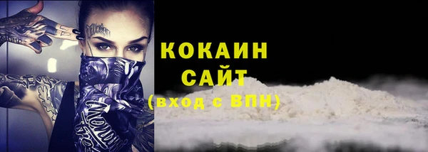 хмурый Бородино