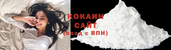 хмурый Бородино