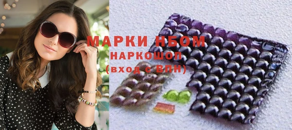 прущие грибы Верея