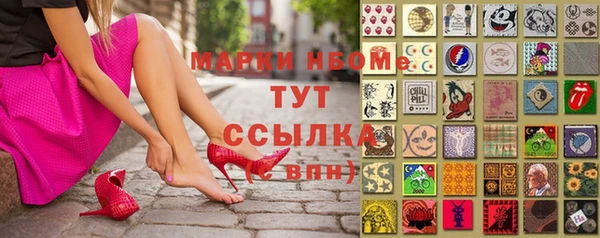 прущие грибы Верея