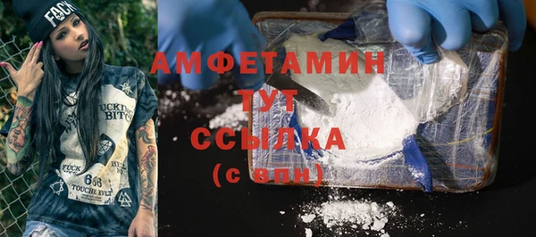 прущие грибы Верея