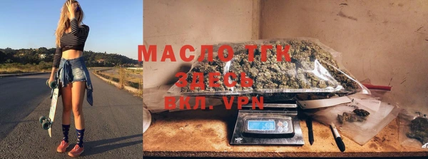 хмурый Бородино