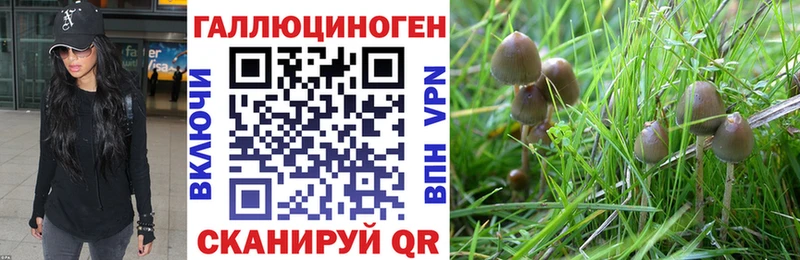 что такое   Георгиевск  Галлюциногенные грибы GOLDEN TEACHER 